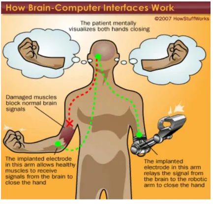Figure 2. BCI Interface Work 