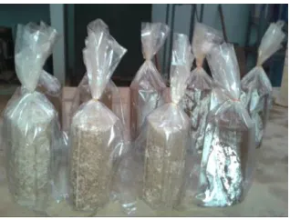 Fig 2. Mould assembly compressed under UTM and samples obtained for UCS Testing 