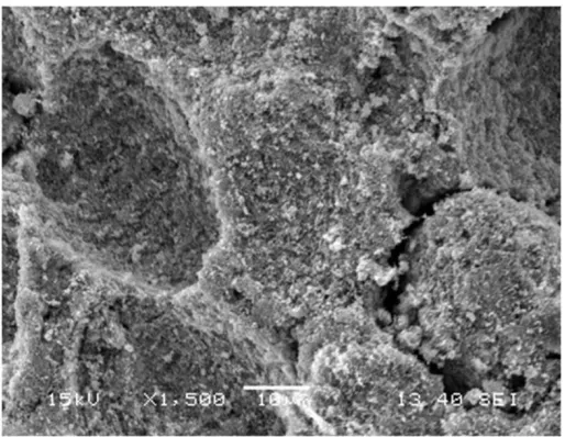 Figure 4: Analyses of SEM showing surface texture, chemical composition & other Morphology properties of Zinc oxide nanoparticles