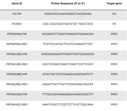 Table   2.1 Mutagenic Primers for PIPO mutants and plasmid construction. 