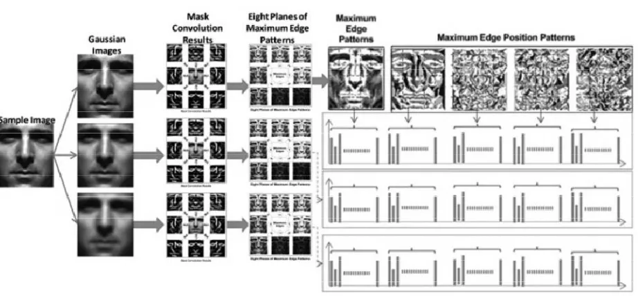 Fig. 5 Sample images from OASIS database (one image per category) 