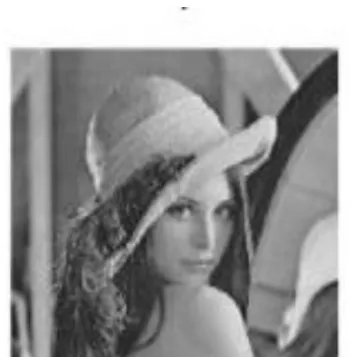 Fig. 3: Selected original lina Image from MATLB database. 