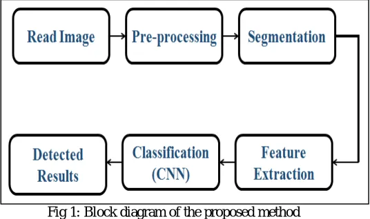 Fig 1: Block diagram of the proposed method 