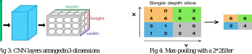 Fig 3: CNN layers arrangedin3-dimensions 