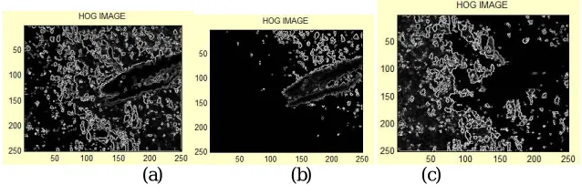 Fig 3 : Morphological Filtering Output 