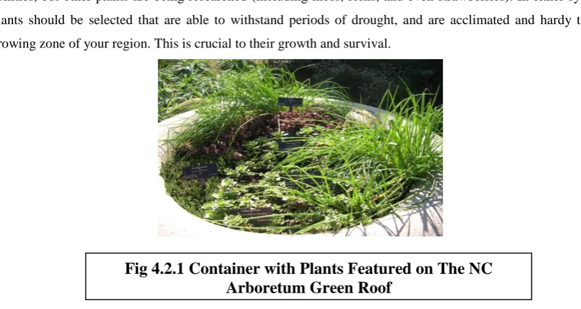 Fig 4.2.1 Container with Plants Featured on The NC Arboretum Green Roof 