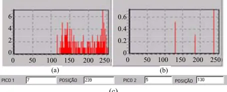 Figure 9. (a) Cell histogram; (b) Pick histogram (c) Found value.  
