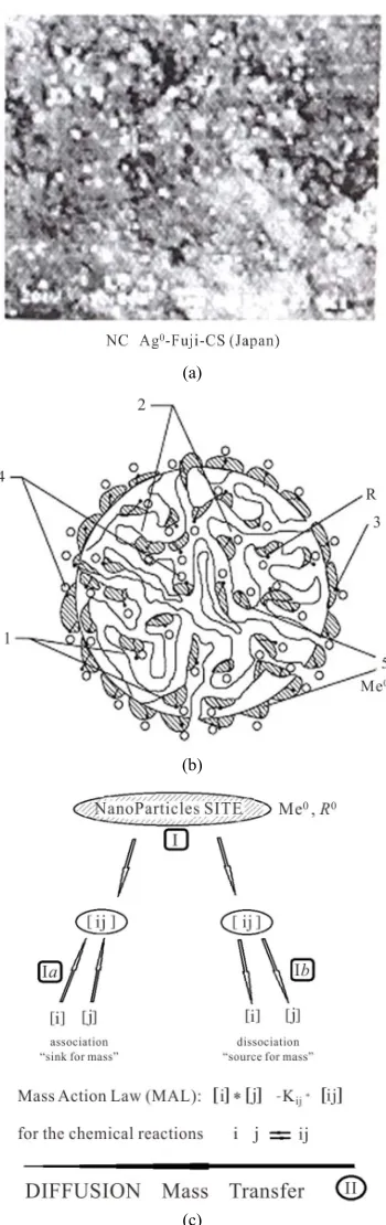 Figure 1(c) shows the scheme of the two accompanying 