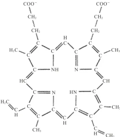 Figure 1. The structure formula of protoporphyrin IX. 