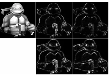 Figure 6- Contourlet transform for the bookmark image  