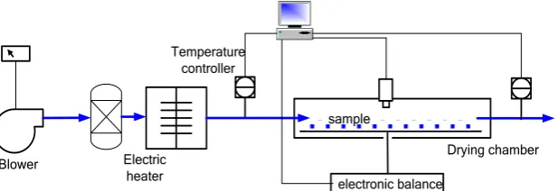 Figure 1. The schematic diagram of experimental equipment. 