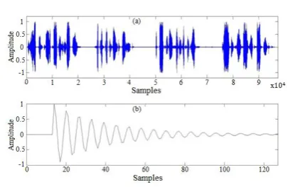 Figure 2.  (a)  Input Signal (b) The impulse response of the echo path 