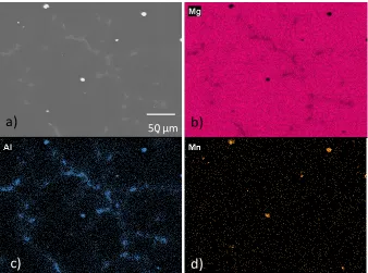 Figure 3. 1 - a) SEM backscatter image of a selected area of interest (AOI) on a 