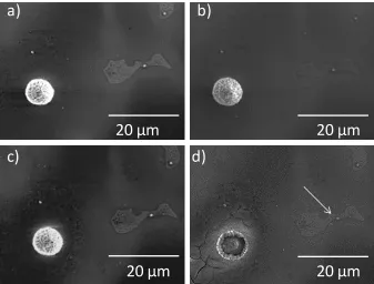 Figure 3. 5 - Progress of corrosion near an Al-Mn intermetallic  from Figure 2a) following a) 