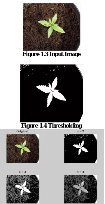 Figure 1.3 Input Image   