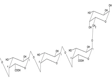 Figure 1.4 - Chemical Structure of Ginseng Polysaccharides [69].  