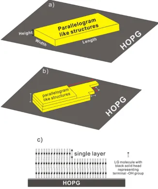 Figure 2. Schematics used to explain the texts in the result section for heights, widths and vertical arrangement of LG molecules within a single layer of the parallelogram-like- lengths of parallelogram-like-structures (a); to demonstrate the growth and d