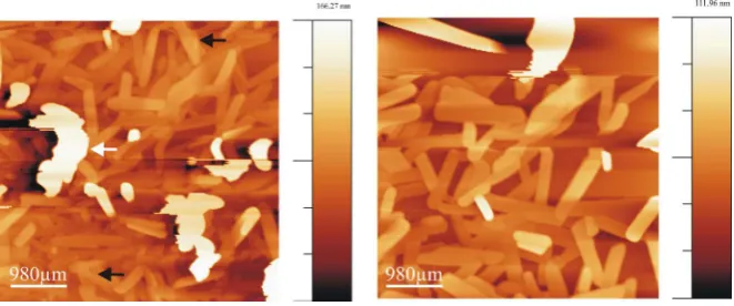 Figure 3. A couple of AFM images showing initial (a), (after ~14 min) and final (b), (after show the parallelogram-like-structures which do not follow the HOPG surface symmetry and irregular 3D structures respectively