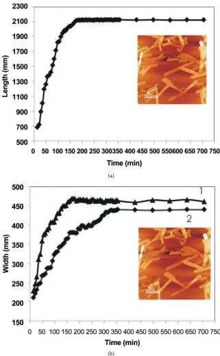Figure 4. Plots show increase in length (dotted black lines in Figure 4(a)) for the structure marked by dotted black line in Figure 4(a) inset and widths (Figure 4(b)) for the structures marked by Figure 4(b) inset with respect to time for all the images s