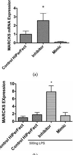 Figure 5. Effects of miR-21 inhibitor and mimic, and of a MARCKS-inhibitory peptide (MANS) on secretion of to the miR-21 mimic/activator, implicating MARCKS in the secretory response