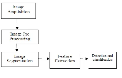 Figure. 2-Process flow 