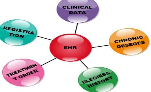 Figure 1: Elements in an EHR system