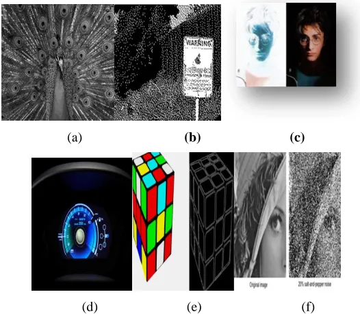 Fig 1: (a)A Black & White image, (b) A binary image, (c)Negative of an image, (d)A customized brightness in an 