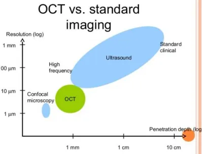 Fig. 2 Comparison of OCT and standard imaging  