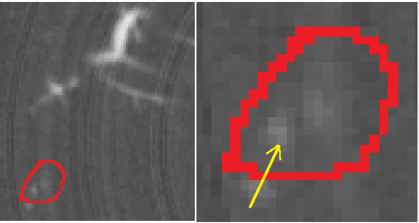 Figure 1.4: An example of partial voluming eﬀect.