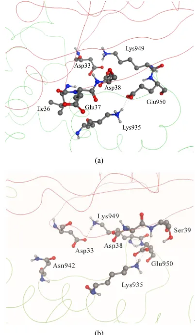 Figure 1. The complex between GAP-334 and H-Ras. The GAP-334 ribbon is colored green, H-Ras colored red