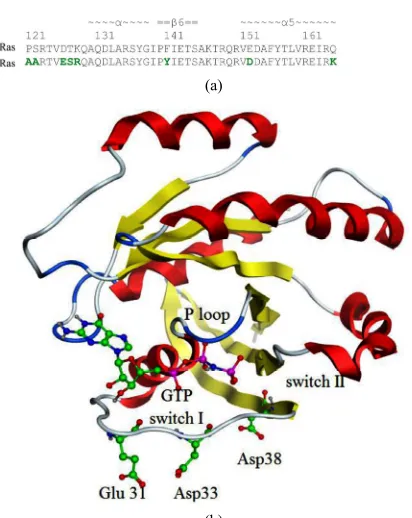 Figure S4. Distance between the O-H group of the Tyr32 side chain and the lation, the Tyr32 gate in isolated K-Rasmoves back to con-tact the tween the O-H group of the Tyr32 side chain and the γ phosphate group of GTP during the simulation