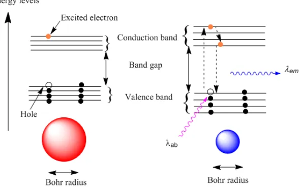 Figure 2.2 Size dependent photophysical properties of semiconductor quantum dots. 