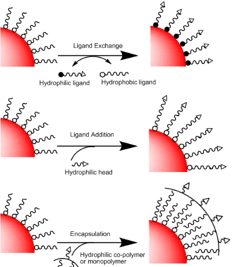 Figure 2.4 Schematic illustrations of common surface functionalization strategies.  