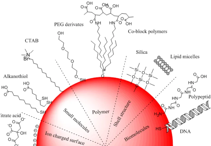 Figure 2.5 Common ligands for stabilizing NPs in water. 