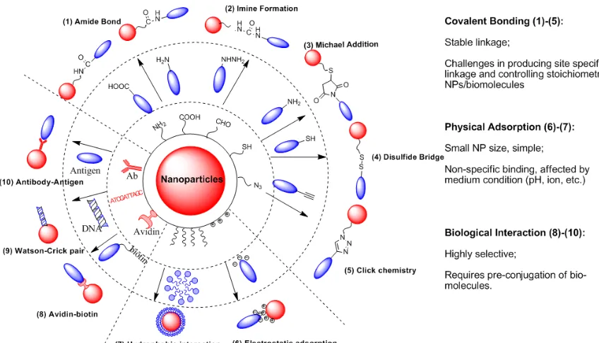 Figure 2.6 Representative bioconjugation protocols. 