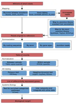 Figure 1.5: Overview of RNA-seq analysis pipeline for detecting diﬀerential expression (Oshlack et al.,2010)