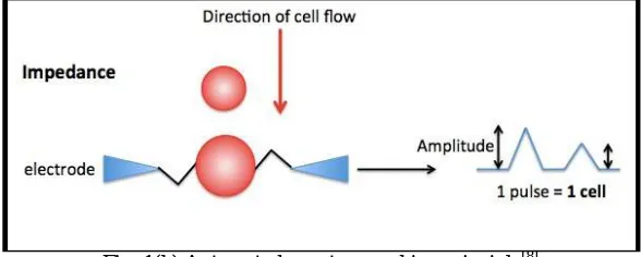 Fig. 1(a) Hemocytometer and corresponding values[7] 