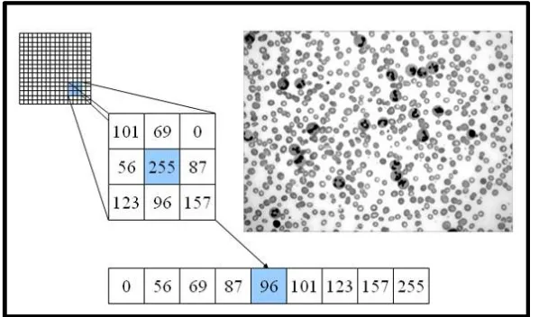 Fig. 4 RGB to grayscale image  