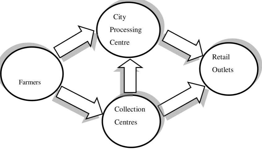 Figure 2: Reliance Fresh Supply Chain Framework  