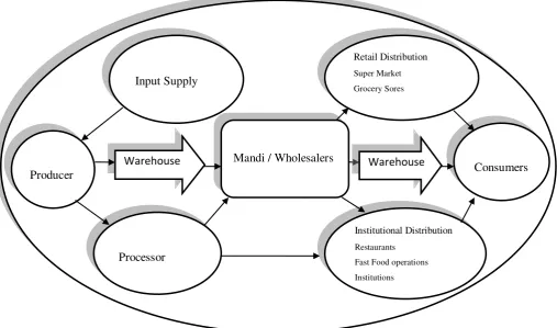 Figure 3: Agricultural Supply Chain Network 