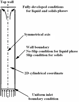 Figure 2.2: The computational domain in the LSCFB riser. 