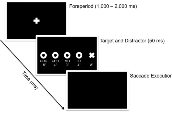 Figure 2. Timeline of visual events for a target presented in the right visual field. A white 