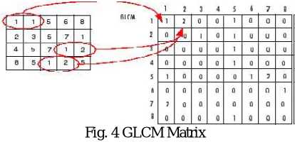 Fig. 4 GLCM Matrix  