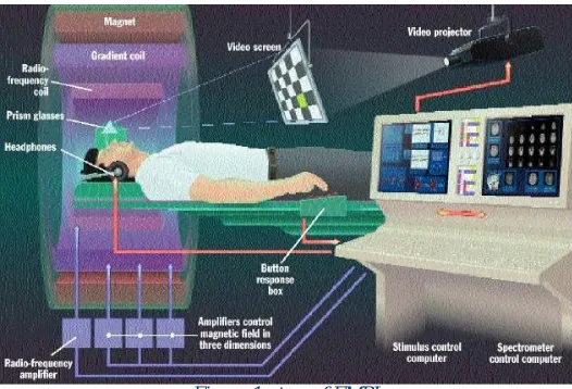 Figure 1set up of FMRI 