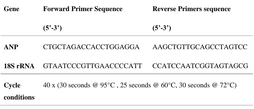 Table 4. Gene primer sequences and cycle conditions used for real-time quantitative PCR 