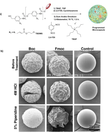 Figure 1. 13 a) Preparation of microcapsules from a self-immolative poly(benzyl carbamate); b) Changes in capsule shell morphology under different conditions