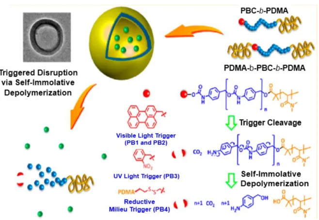 Figure 1. 14 Synthesis of diblock copolymers containing self-immolative blocks with light- and reduction-sensitive linkers and their self-assembly into vesicles