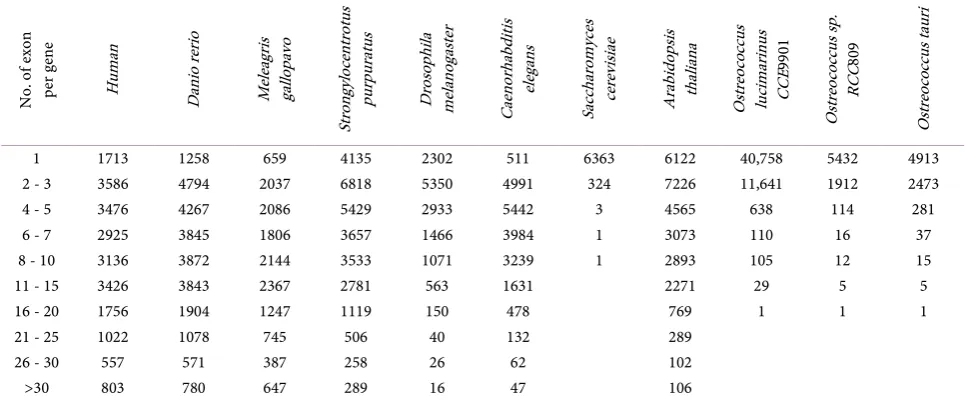 Table S2. Comparative analysis of eukaryotic genes with exons in some representative species