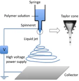 Figure   2.8   The   common   setup   and   working   principle   of   electrospinning   (Li   et   al.,   2010)