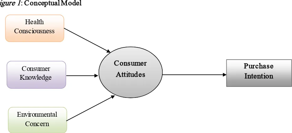 Figure 1: Conceptual Model 